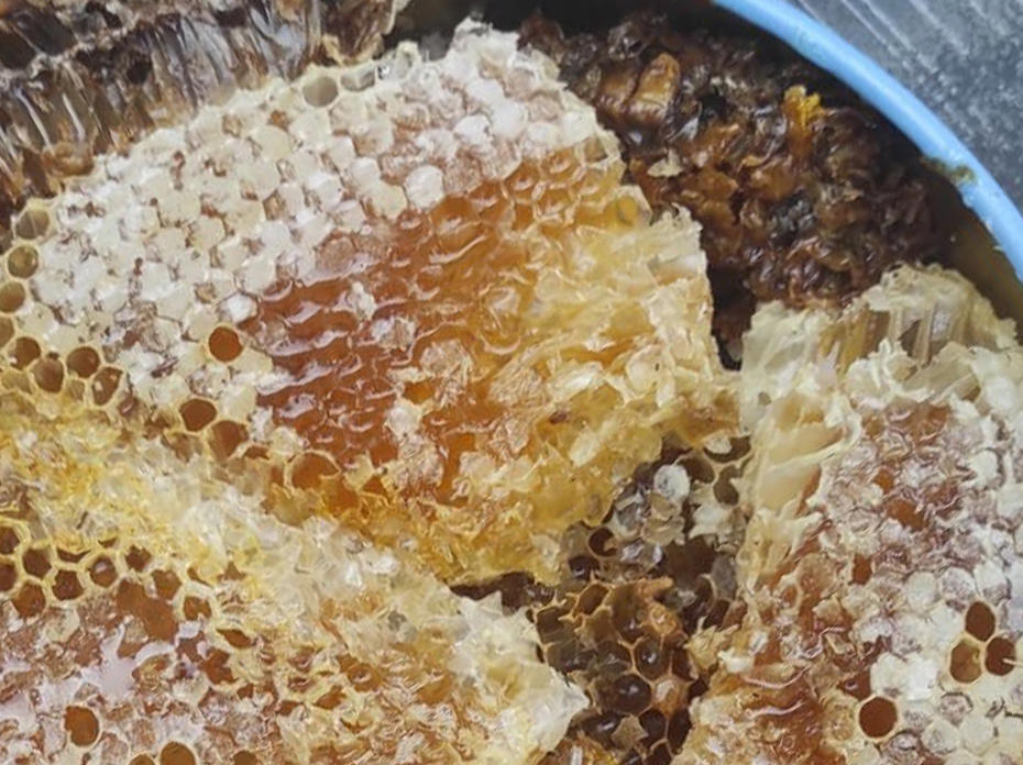 Doğal Balın Piyasa Değeri Rekor Kırdı: 1 Kilo Çeyrek Altını Geride Bıraktı