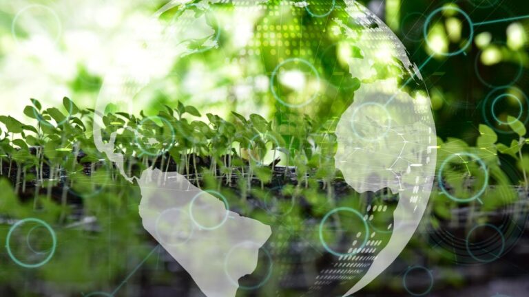 Çevre alanında 2024 böyle geçti