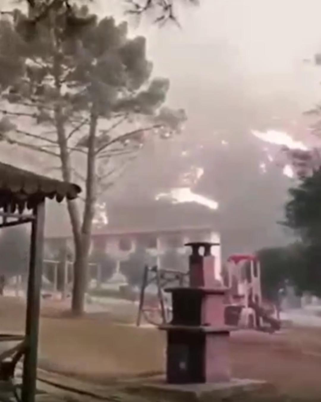Belediye Başkanı Bekir Torun'un orman işçileri için tepkileri: 