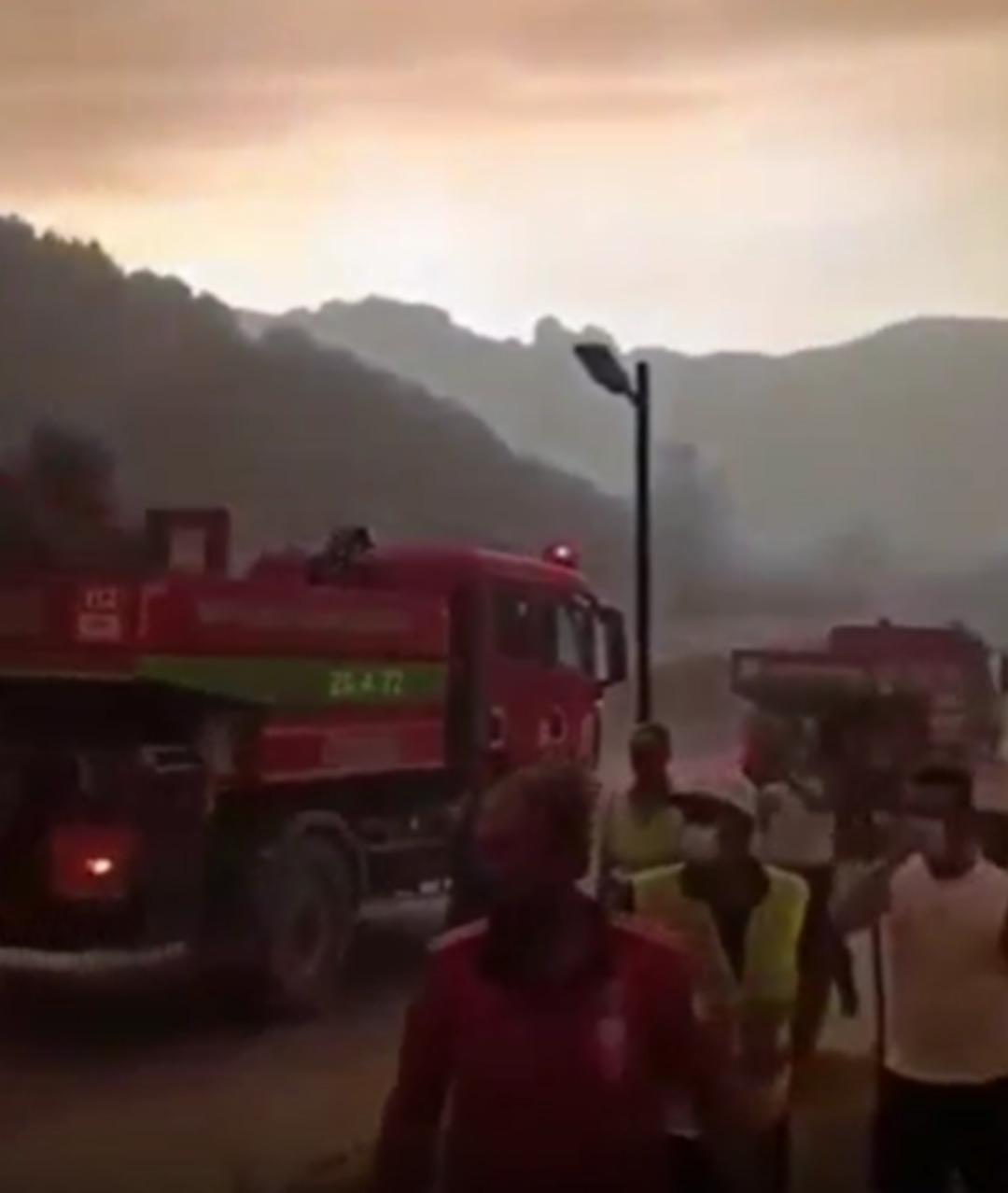 Belediye Başkanı Bekir Torun'un orman işçileri için tepkileri: 